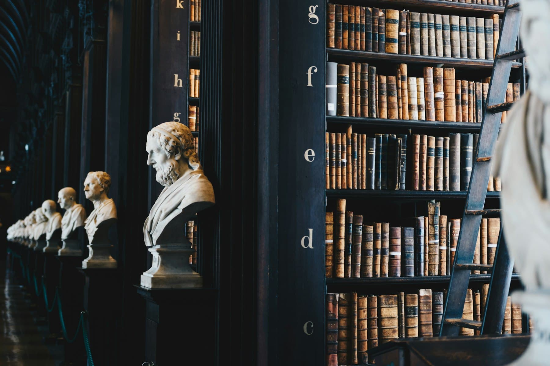 Dark wood law library stacks with marble busts and a rolling ladder